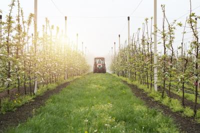 Market study for green financing in agriculture